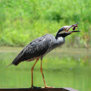 dsc03763-e1557869690644